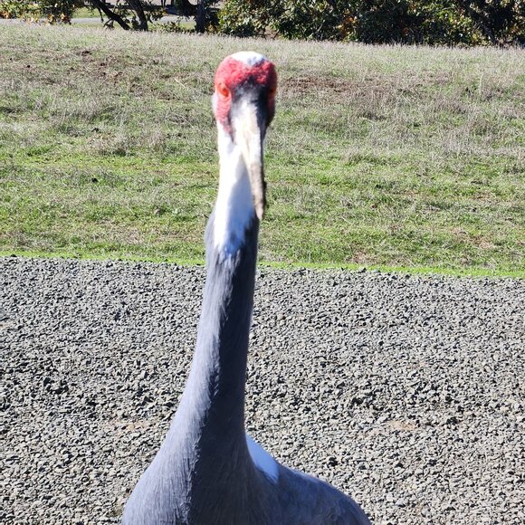 Men's and Women's Clothing - Picture 1 of 1